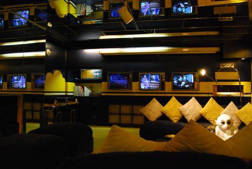 tv room with monkey